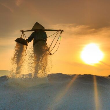 Free stock photo of adult, agriculture, asia