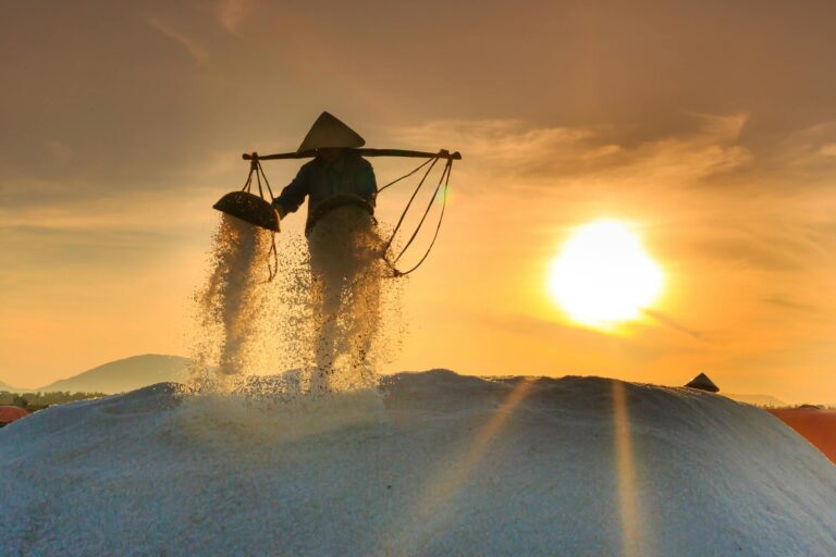 Free stock photo of adult, agriculture, asia